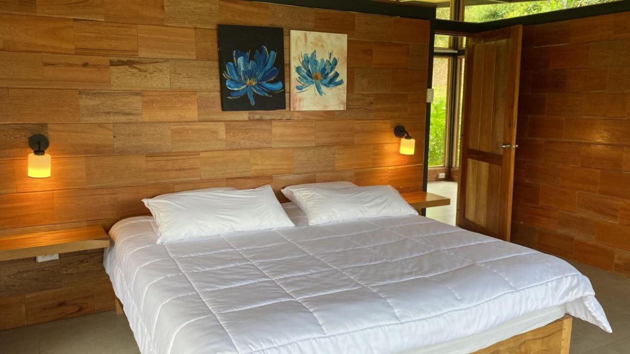Terrabambu