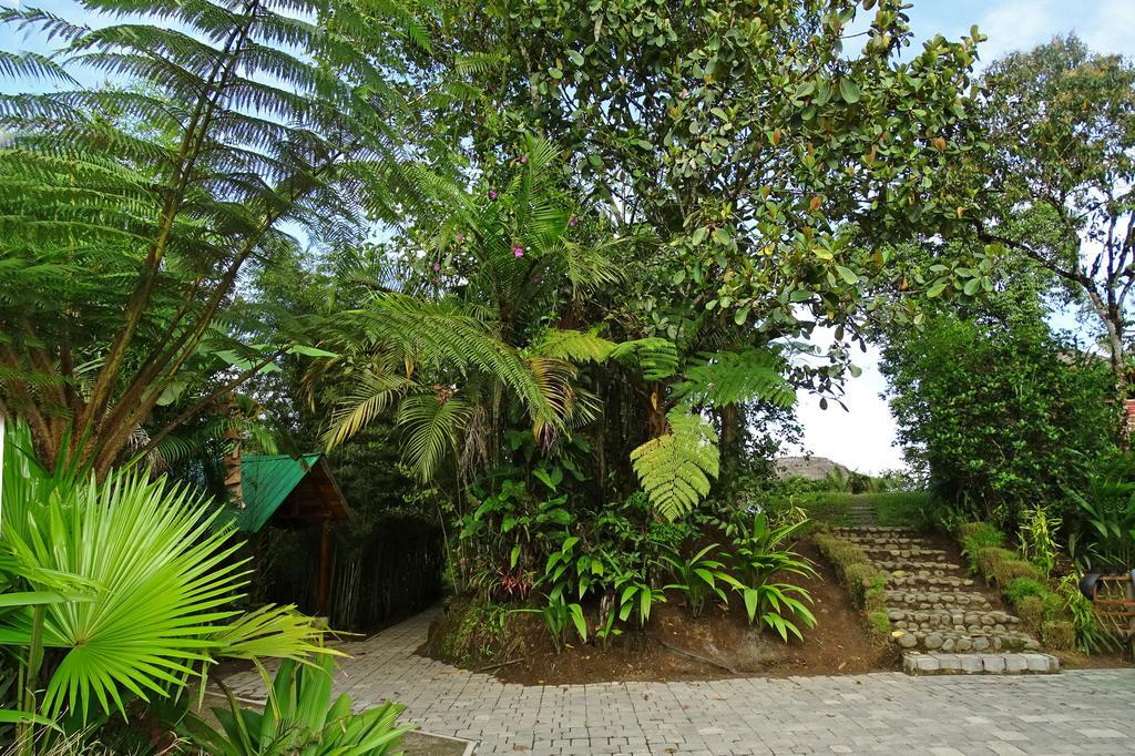 Lodge Terrabambu *